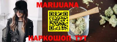 крисы Моздок