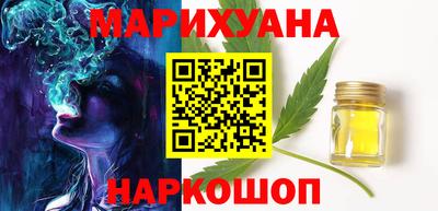 крисы Моздок