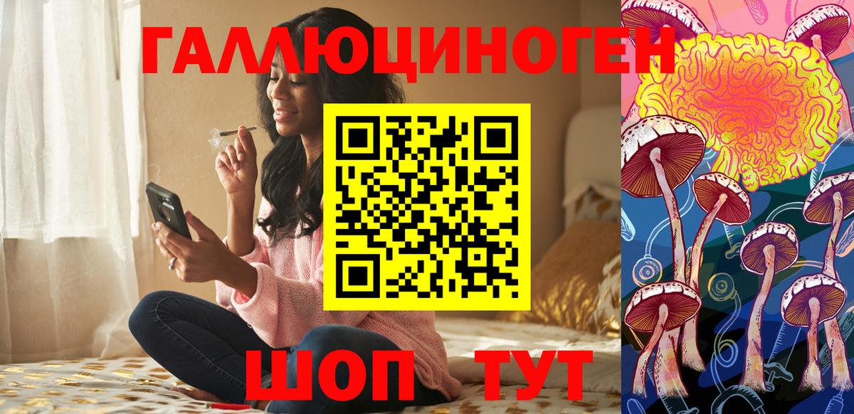 Чусовой  Псилоцибиновые грибы Psilocybine cubensis  Вход с VPN  Галлюциногенные грибы Psilocybine cubensis 